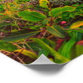 ビューティフルハワイビーチ |サンサンド&グリーンパラダイス ポスター (角)