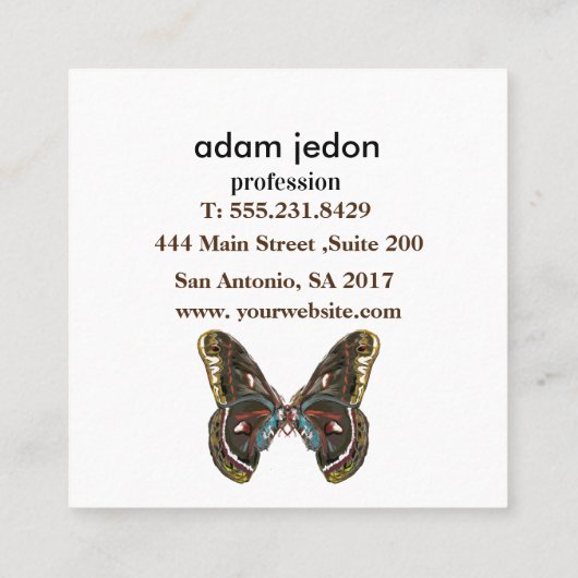 ビューティフルバタフライアートスケッチ スクエア名刺 (裏面)