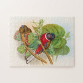 ビューティフルバードカラフルヴィンテージイラストレーション ジグソーパズル (横)