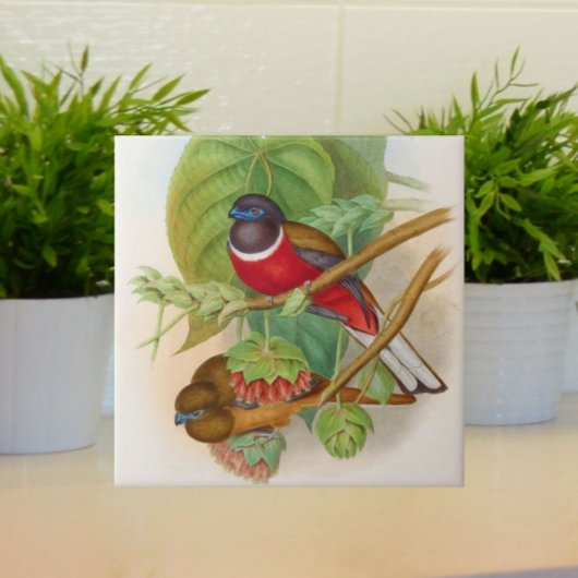 ビューティフルバードヴィンテージイラストレーション カラフル タイル