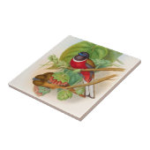 ビューティフルバードヴィンテージイラストレーション カラフル タイル (側面)