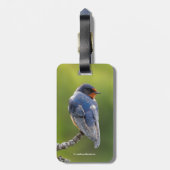 ビューティフルバーンスワローオンザブランチ ラゲッジタグ (裏面縦)