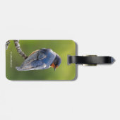 ビューティフルバーンスワローオンザブランチ ラゲッジタグ (裏面横)