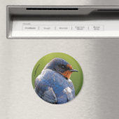 ビューティフルバーンツバメ マグネット (インサイチュ (食洗機))