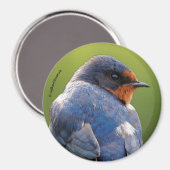 ビューティフルバーンツバメ マグネット (正面/裏面)