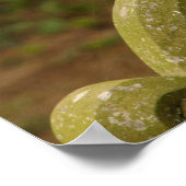 ビューティフルバーンフクロウのポスター/プリント ポスター (角)