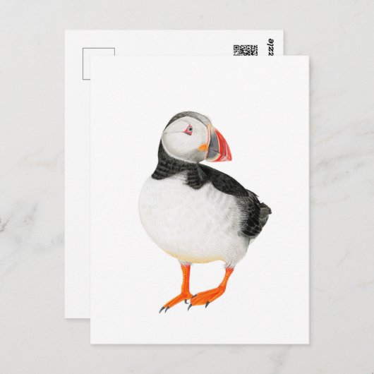 ビューティフルパフィンスケッチ ポストカード (正面/裏面)
