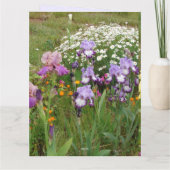 ビューティフルパープルアイリス花フローラ写真 カード (裏面)