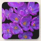 ビューティフルパープル春クロセスフローラ コースター (正面)