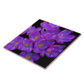 ビューティフルパープル春クロセスフローラ タイル (側面)