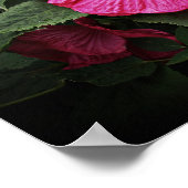ビューティフルビジョンハイビスカスフローラウォールアートGPsg ポスター (角)