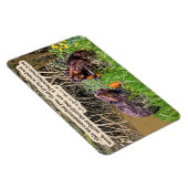 ビューティフルビーバー聖なる書物、 経典2テサロニケ3:10 マグネット (右側)