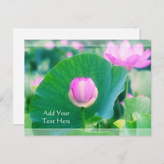 ビューティフルピンクロータスバドフラワーグリーンリーフブロッサム ポストカード (正面/裏面)