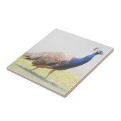 ビューティフルピーコックバード歩く タイル (側面)