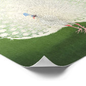 ビューティフルピーコックヴィンテージ ポスター (角)