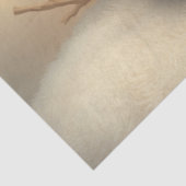 ビューティフルフェアリーとベビーファンタジーアートティッシュペーパー 薄葉紙 (詳細)