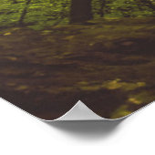 ビューティフルブナ ポスター (角)