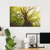 ビューティフルブナ ポスター (ホームオフィス)