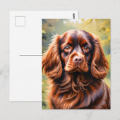 ビューティフルブラウンスパニエル犬ドッグ ポストカード (正面/裏面)