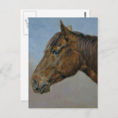 ビューティフルブラウンホースポートレート ポストカード (正面/裏面)