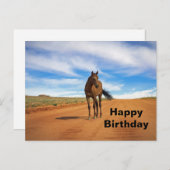 ビューティフルブラウンホースロードフォト誕生日 ポストカード (正面/裏面)