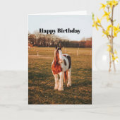 ビューティフルブラウン絵を描荷車を引くホースフォト誕生日 カード (黄色い花)