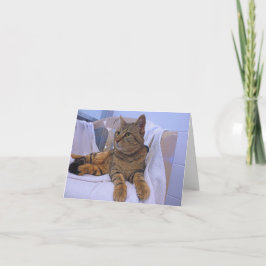 ビューティフルブラウン虎猫 カード