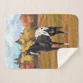 ビューティフルブラックアパロオサクオーターホーススタリオン シェルパブランケット (正面(横))