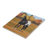 ビューティフルブラックアパロオサクオーターホーススタリオン タイル (側面)