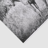 ビューティフルブラックアンドホワイトマーレティッシュペーパー 薄葉紙 (詳細)