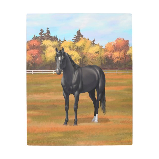 ビューティフルブラッククオーターホーススタリオン メタルプリント (正面)