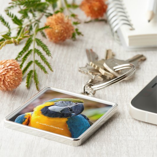 ビューティフルブルーと金ゴールドマコー キーホルダー (側面)