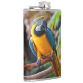 ビューティフルブルーと金ゴールドマコー フラスク (右)