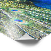 ビューティフルブルーピーコック フォトプリント            (角)