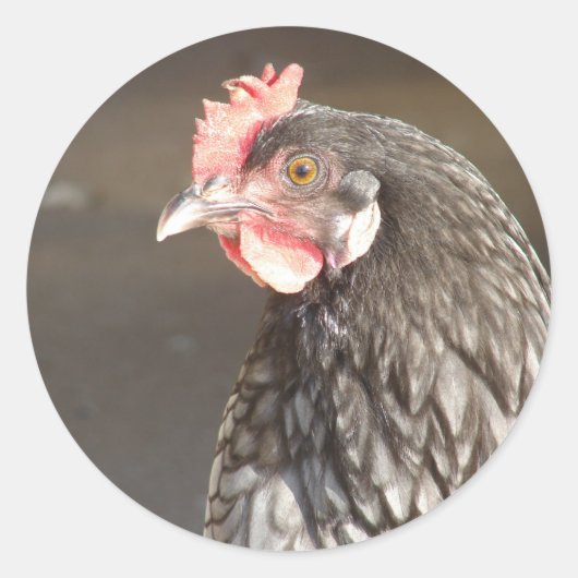 ビューティフルブルーヘン ラウンドシール (正面)