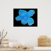 ビューティフルブルーベゴニアフラワープリント ポスター (キッチン)