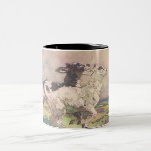 ビューティフルベビーヤトマグ ツートーンマグカップ (中央)