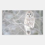 ビューティフルホワイトスノーフクロウデザイン 長方形シール (正面)
