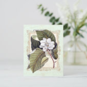 ビューティフルホワイトマグノリアフォーマルディナーパーティー 招待状 (スタンド正面)