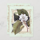 ビューティフルホワイトマグノリアフォーマルディナーパーティー 招待状 (正面/裏面)