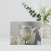 ビューティフルホワイト春チューリップ ポストカード (スタンド正面)