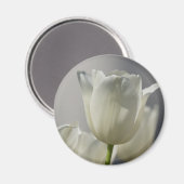 ビューティフルホワイト春チューリップ マグネット (正面/裏面)