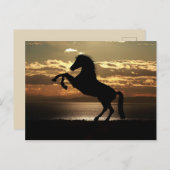 ビューティフルホースポストカード ポストカード (正面/裏面)