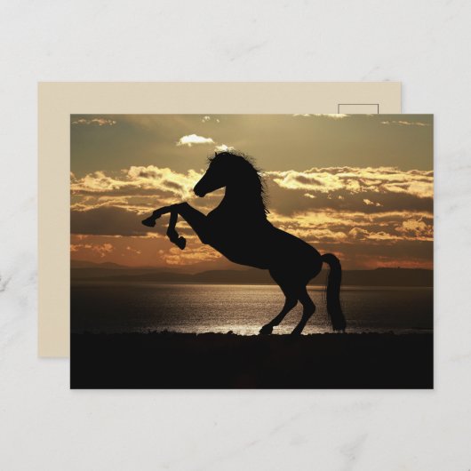 ビューティフルホースポストカード ポストカード (正面/裏面)