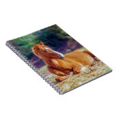 ビューティフルホース子馬 ノートブック (右側)