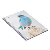 ビューティフルマウンテンブルーバードアットザビーチ ノートブック (右側)