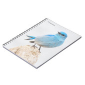 ビューティフルマウンテンブルーバードアットザビーチ ノートブック (左側)