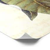 ビューティフルマグノリアブロッサムアンティークコラージュ ポスター (角)