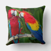 ビューティフルマコーカップル装飾用クッション クッション (裏面)