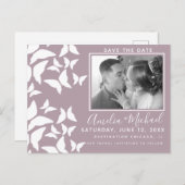 ビューティフルマリポサスホワイト赤面写真 ポストカード (正面/裏面)